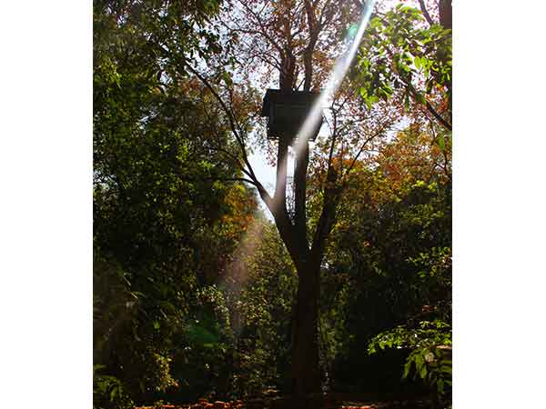 cotigao wildlife sanctuary goa cotigao wildlife sanctuary goa