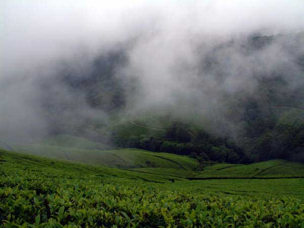 meghamalai in theni meghamalai in theni