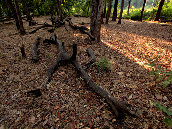 saputara hill station gujarat saputara hill station gujarat