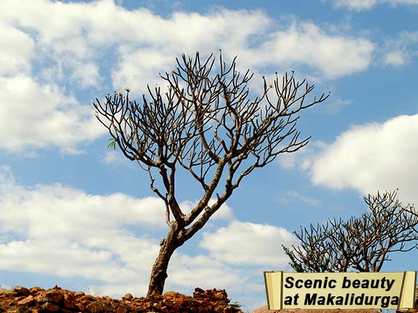 Trekking Destinations Near Bengaluru Trekking Destinations Near Bengaluru
