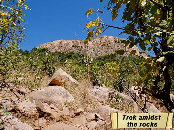 Trekking Destinations Near Bengaluru Trekking Destinations Near Bengaluru