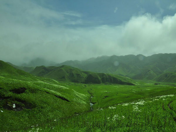 9. Dzukou Valley, Nagaland