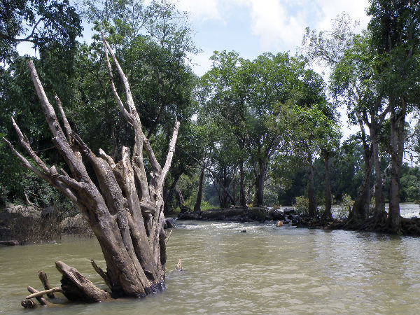 Dubare River Rafting