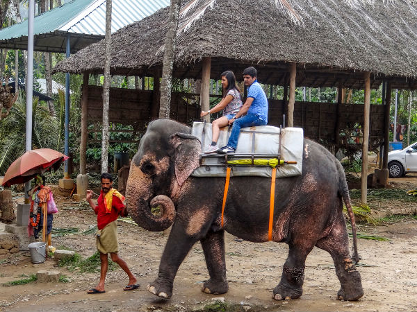 Thekkady
