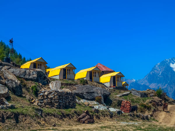 Auli