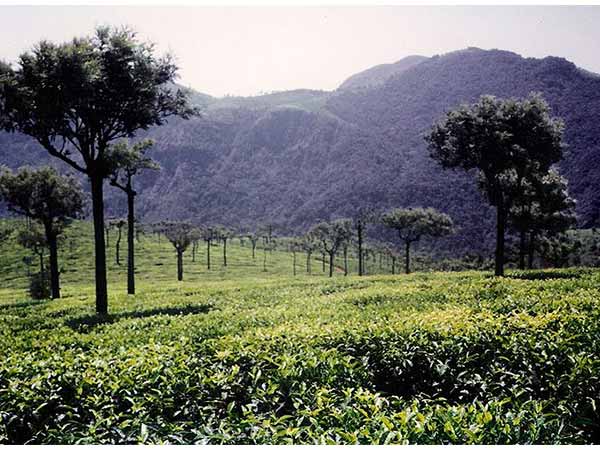 9. Ooty