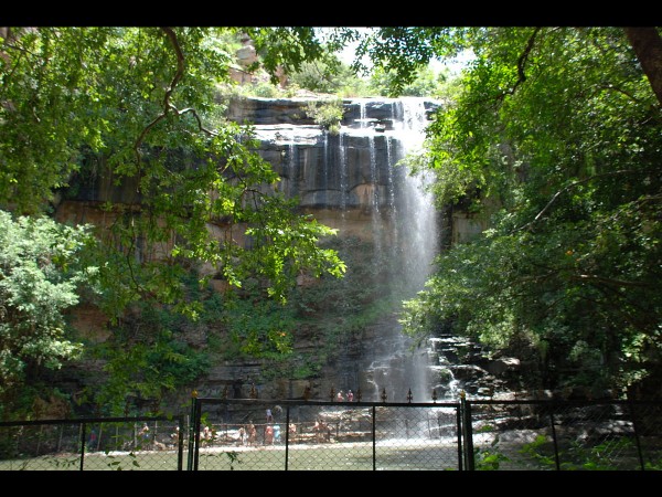 4. Mallela Theertham – Nallamalla Forest