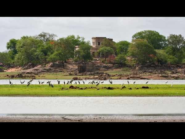 9. Pocharam Wildlife Sanctuary and Dam