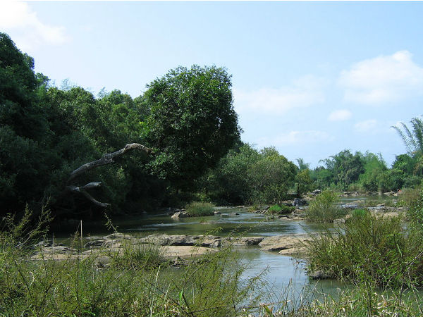 4. Kuruvadweep