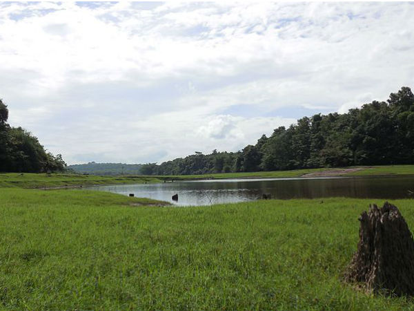 3. Thattekkad Bird Sanctuary