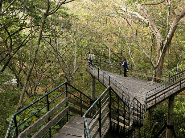 5. Thenmala