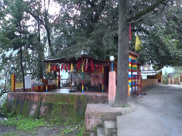 1. Kalpavriksha