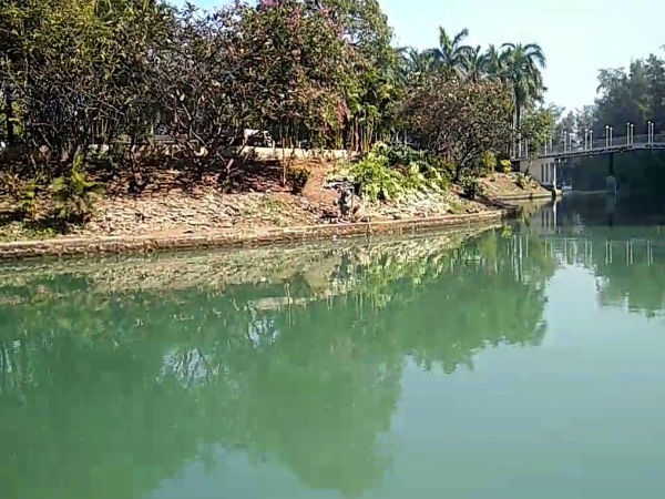 1. Mirasol Lake Garden