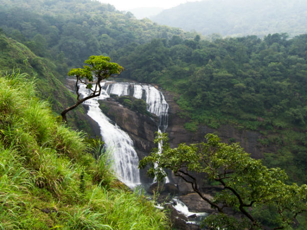 5. Mallalli