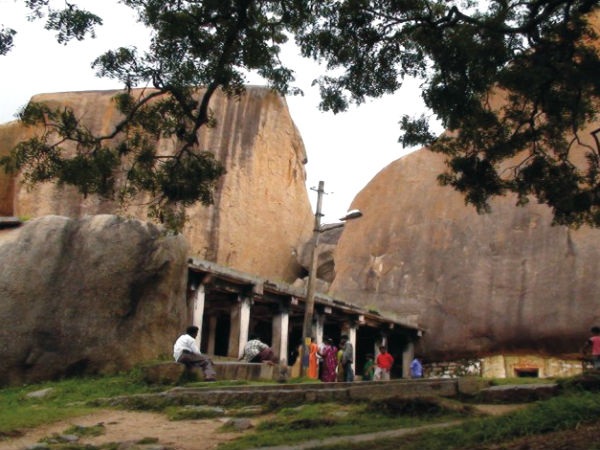 4. Ankali Mutt