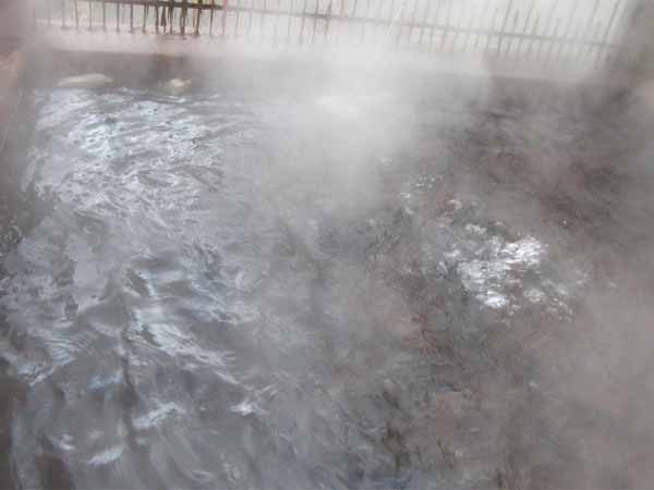4) Vashisht Kund