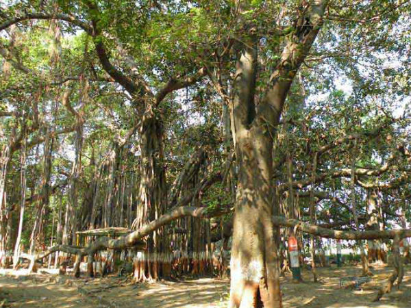 5. Kabirvad