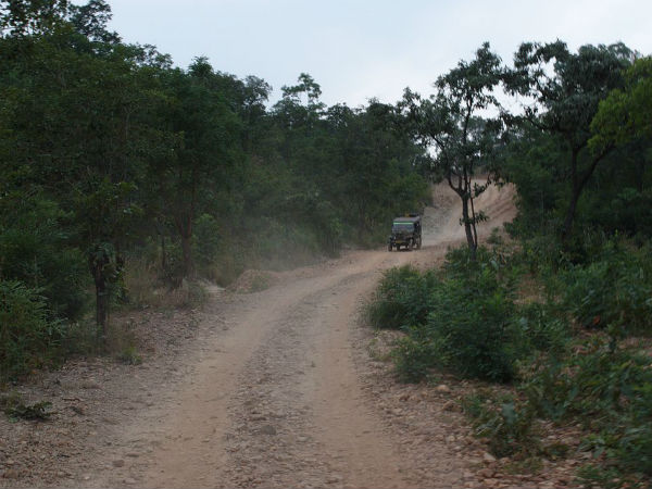 8. Kadapa Ghat In Nallamala Forest