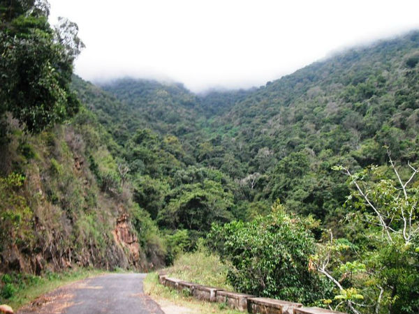 12. Bangalore – Ooty