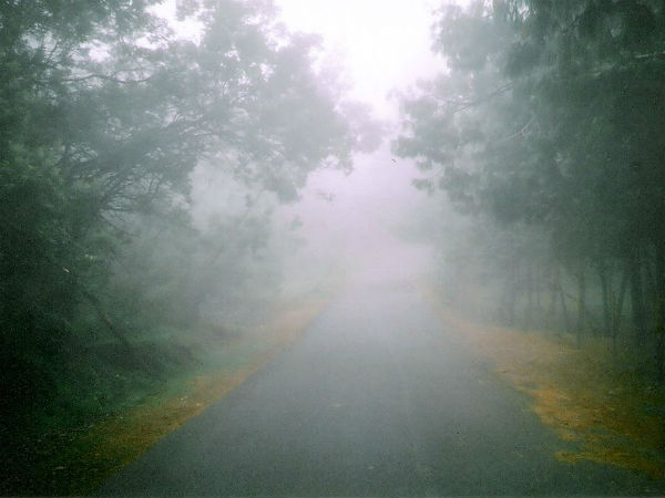 13. Bangalore – Kodaikanal