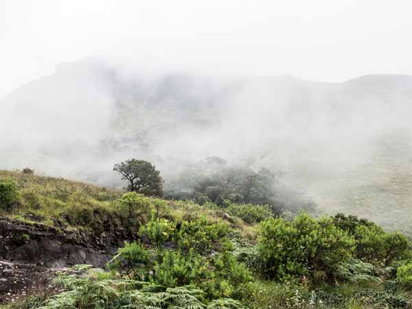 nishani motte trek nishani motte trek