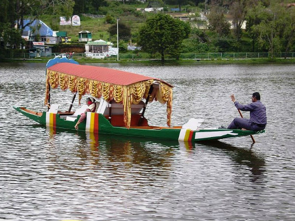kodai kodai