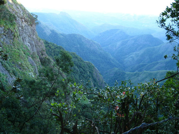 Kodai Kodai