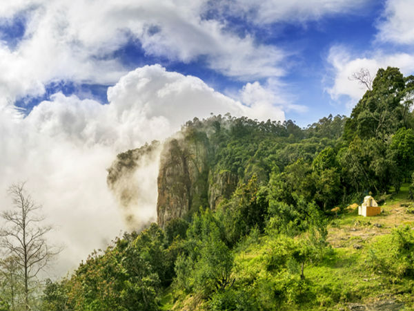 Kodai Kodai
