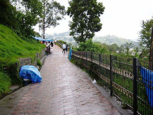 Kodai Kodai