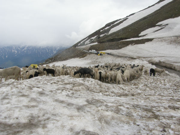 5. Day 3: Riyali Thach To Kaliheni Pass Base