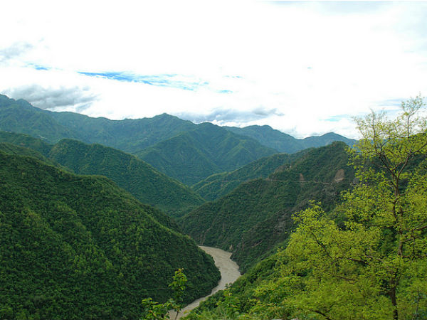 1. Pulbahal