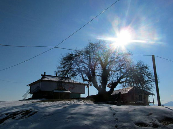 4. Bijli Mahadev