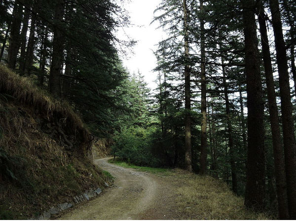 5. Daranghati Sanctuary