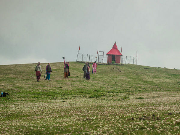 7. Gada Gushaini