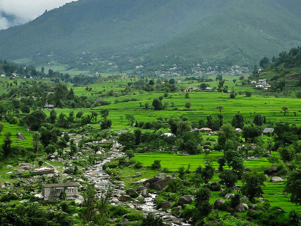 8. Chindi