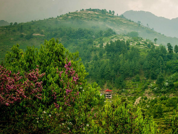 10. Barot