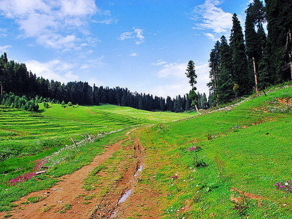 1. Strawberry Valley