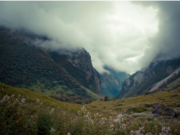 5. Valley Of Flowers