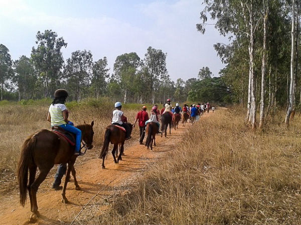 2. The Embassy Riding School