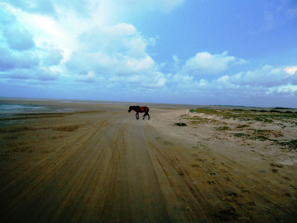5. Dhanuskodi