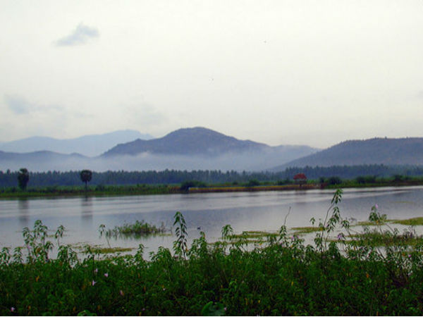 6. Kodaikanal