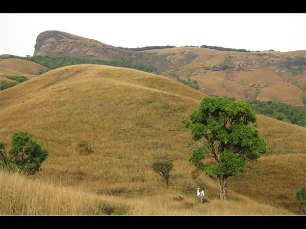 Kudremukh