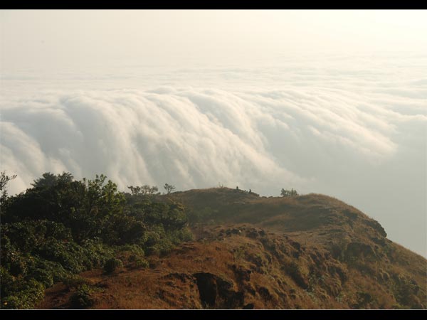 Kodachadri