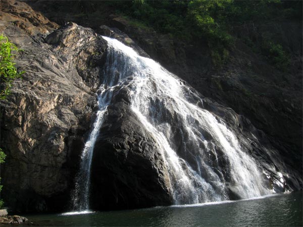 The Glorious Dudhsagar Falls