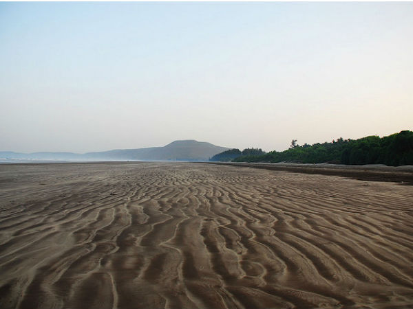 4. Diveagar