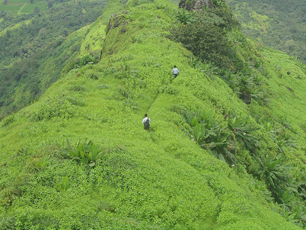 9. Kamshet