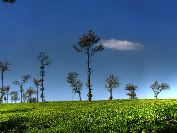 5. Head To Coorg Instead Of The Scottish Highlands