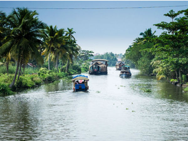 2. Head To Alleppey Instead Of Venice