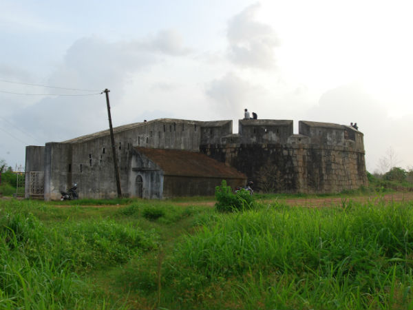 Sultan Battery