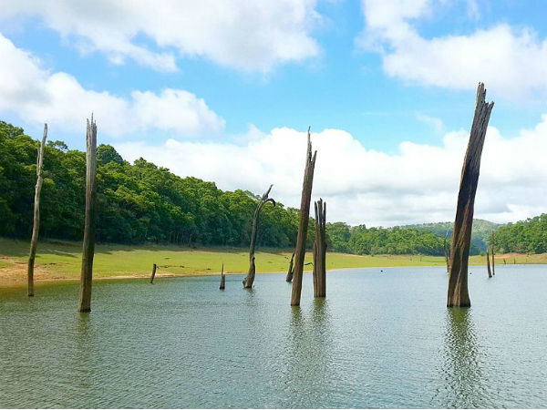 6. Periyar Tiger Reserve, Kerala